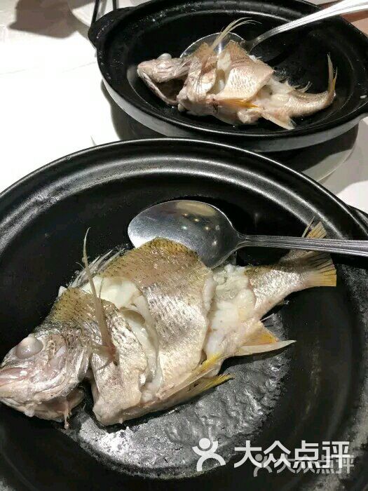 海月百味館油鹽焗海立魚圖片-北京粵菜館-大眾點評網