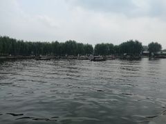 景点-白洋淀景区