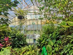 -墨尔本皇家植物园