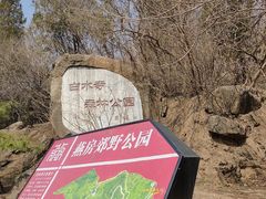 -白水寺森林公园