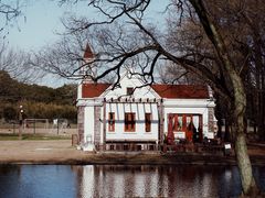 -上海共青森林公园