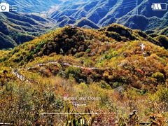 -大岭沟猕猴桃谷风景区