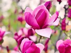 -永定河休闲森林公园