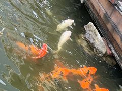 -花溪雨·森林餐厅(石基店)
