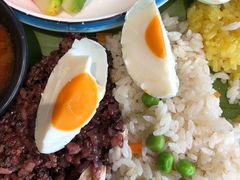 -金塔傣乡·云南民族特色菜·傣味手抓饭(金瓦路店)