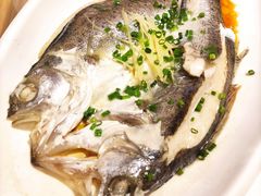 清蒸海鲈鱼-京粤荟(海王银河科技大厦店)