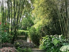 -广州兰圃