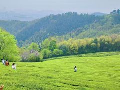 -敬亭山风景名胜区