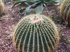 -呀路古热带植物园
