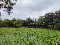 -房湖公园