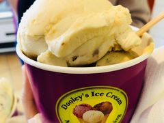 -Dooley's Premium Ice Cream