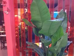 -墨纪Mojí墨西哥餐厅(官舍店)
