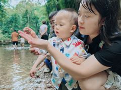 -凤栖山
