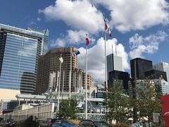 -加拿大国家电视塔