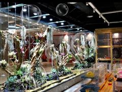 -趣陶陶艺手工坊(新世界百货重庆店)