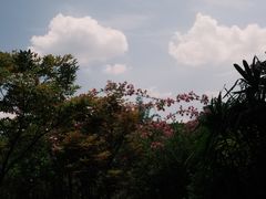 -昆明柏联SPA温泉