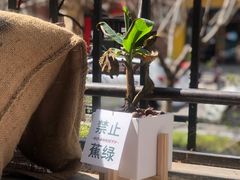 -老梦面包CHEZMOREL(麦子店)