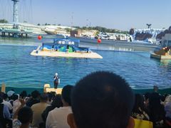 -秦皇岛乐岛海洋王国