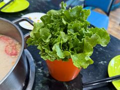 -小海豚•老字号海鲜餐厅(天涯店)