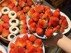 -伍棵星炭烤自助料理·活鳗鱼(浦东食品城店)