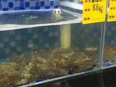 水产区-睿柏云酒店-餐厅
