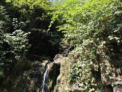 -鹿院坪生态旅游景区