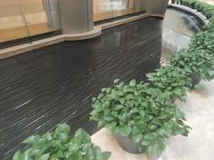 -上海明天广场JW万豪酒店