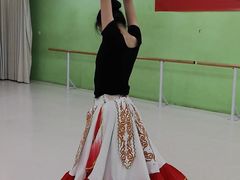 -舞蕾舞蹈(特长生校区)