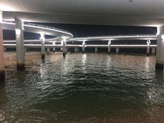 -演武大桥观景平台