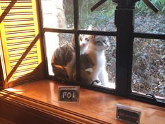 景观位-马勒别墅·中餐厅