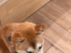 -猫的天空之城概念书店(大学路店)