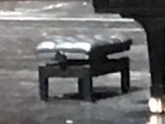 -哈尔滨大剧院