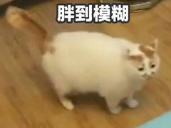 -麦当劳(双榆树店)