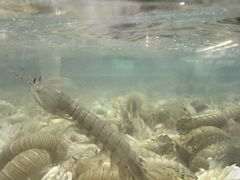 -盒马鲜生(宝地店)