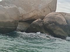-三亚相缘海鲜·烧烤·糟粕醋(三亚湾店)