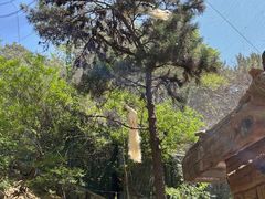 -燕塞湖鸟语林景区