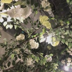 -崇尚GAVIN STYLE臻选