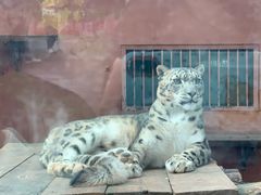 -青藏高原野生动物园