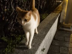 -荔湾湖公园