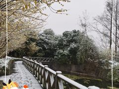 -青城山