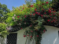 -绮园景区
