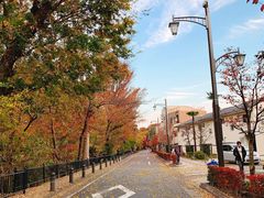 -三鹰之森吉卜力美术馆