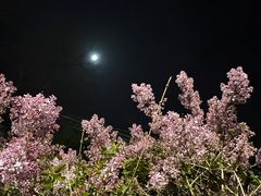 -鑫涛温泉汗蒸时代
