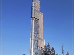 -紫峰大厦