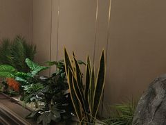 -蜀厨小匠·民间川菜(犀浦店)
