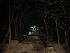 -紫金山山顶公园