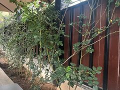 -蘇河湾·新鲁菜·泰山宴(泰山店)