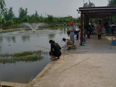 -同銮特种养殖场·龙虾垂钓