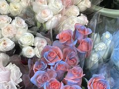 -循礼门鲜花花市(武汉循礼门店)