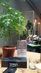-红馆·发喆院